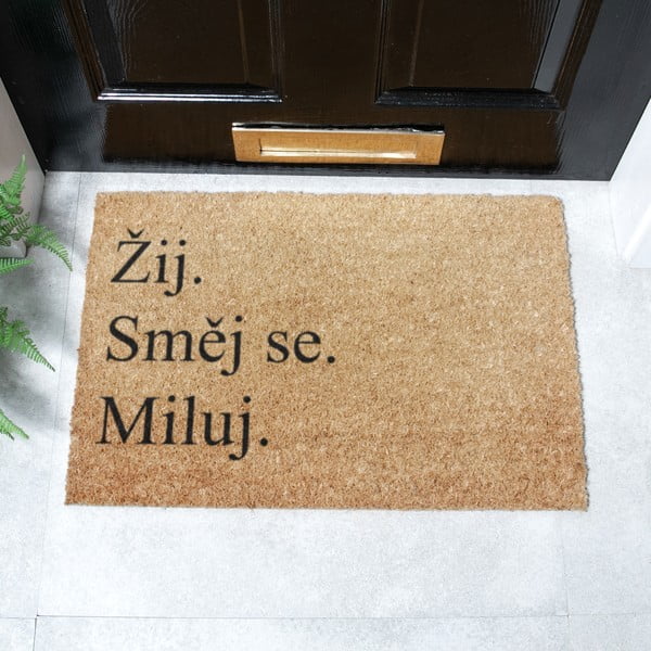 Covoraș de intrare din fibre de nucă de cocos 40x60 cm Žij a Miluj – Artsy Doormats-image-2