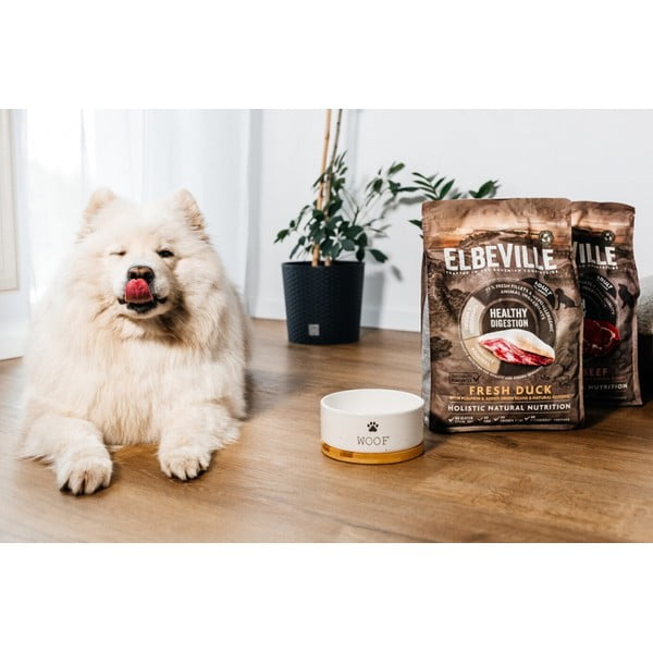 Bol pentru animale pentru câini din ceramică ø 16 cm Dog Fantasy WOOF – Plaček Pet Products-image-1