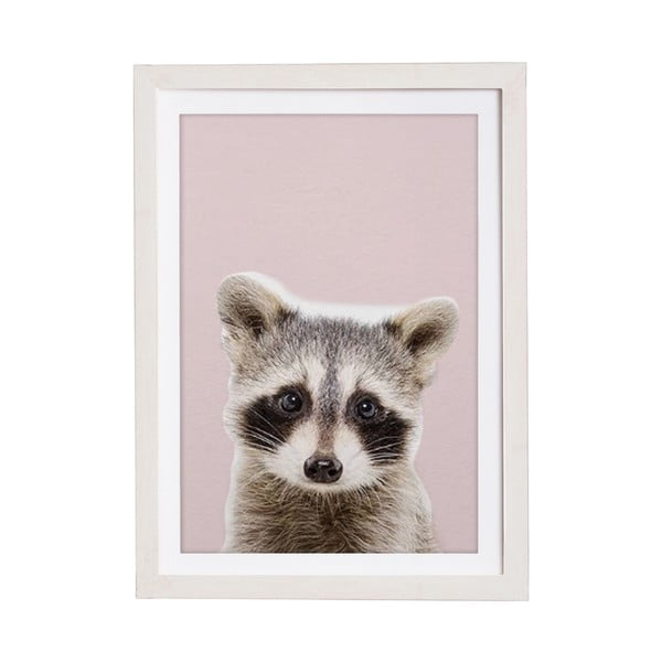Tablou cu ramă pentru perete Querido Bestiario Baby Racoon, 30 x 40 cm