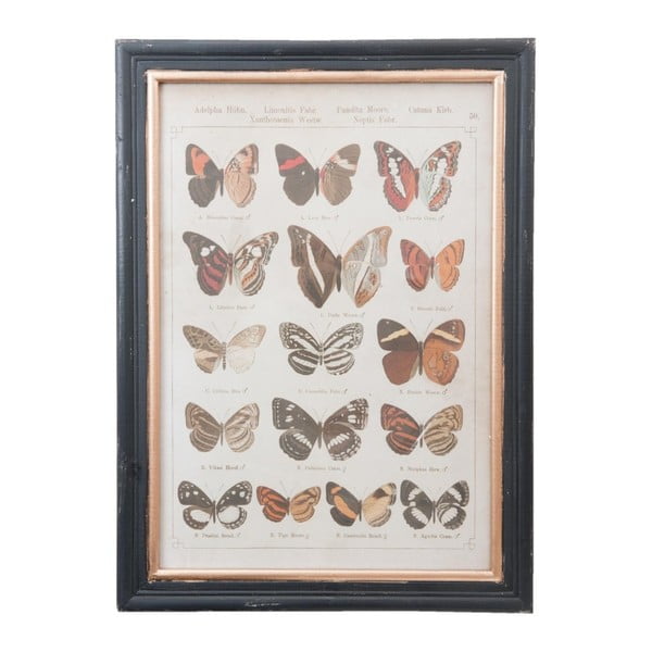 Tablou Clayre & Eef Butterflies, 40 x 55 cm