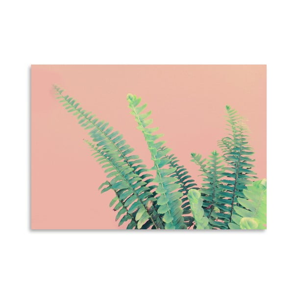 Poster Americanflat Ferns On Pink, 30 x 42 cm