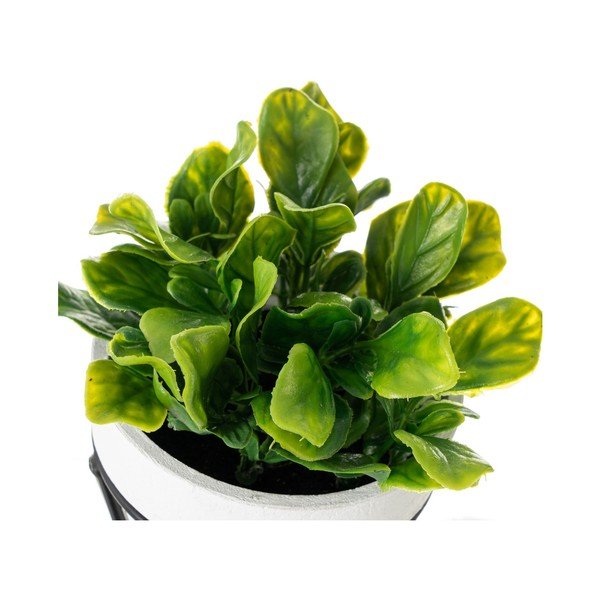 Plante artificiale 4 buc. – Casa Selección-image-1