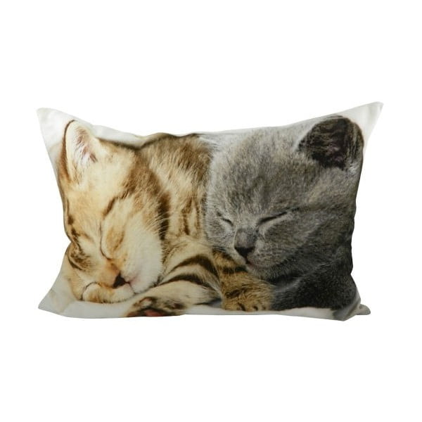 Pernă Kittens On Blanket 50x35 cm