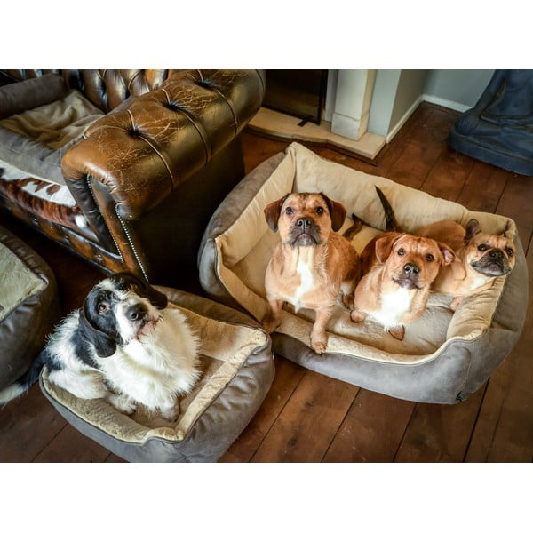 Pat pentru animale de companie maro deschis pentru câini 50x65 cm – Madison-image-1