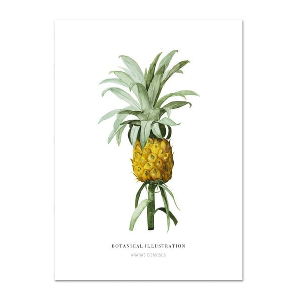 Poster Leo La Douce Ananas Comosus, 29,7 x 42 cm