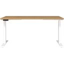Birou cu înălțime ajustabilă electric 80x160 cm Jet – Germania