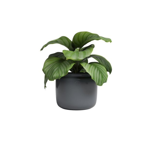 Ghiveci din ceramică făcut manual ø 20 cm Astrea – Artevasi-image-3