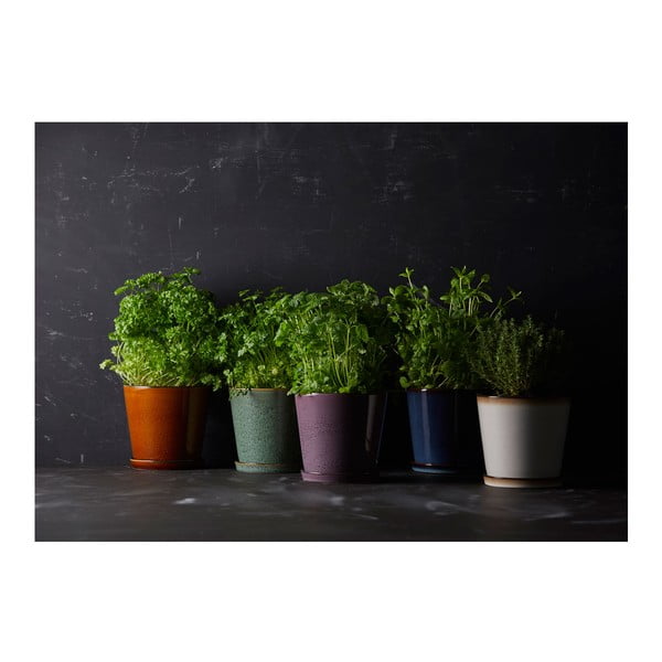 Ghiveci din gresie ø 14 cm Gastro  – Bitz-image-2