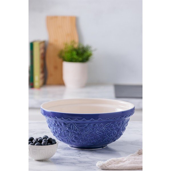 Bol albastru din gresie ø 26 cm Fruits Blueberry – Mason Cash-image-1
