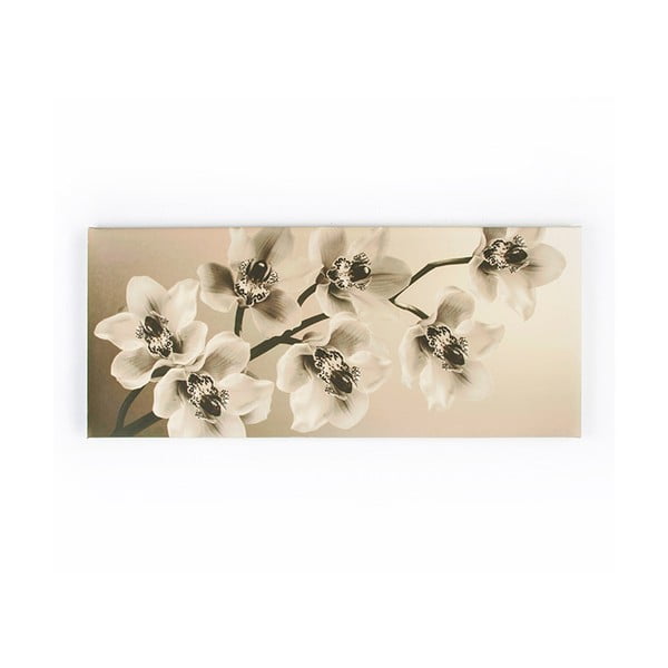 Tablou Graham & Brown Orchid Branch, 100 x 40 cm