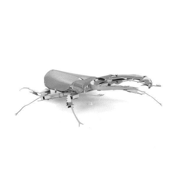 Model Stag Beetle-image-1