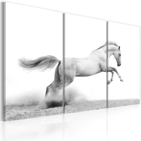 Tablou pe pânză 3 piese Bimago Horse, 80 x 120 cm 
