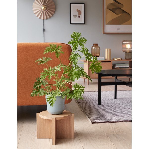 Aplică de perete bej cu alimentare la priză ø 48 cm Pliss – Hübsch-image-1