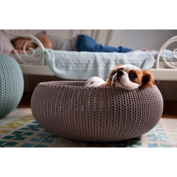 Pat de plastic pentru pisici Curver Knit Bed, maro-image-1