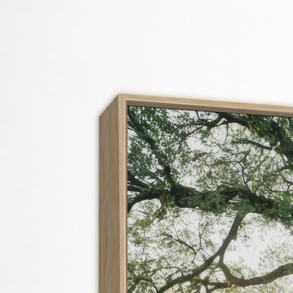 Tablou 150x60 cm Tree in the Sun – knor-image-3