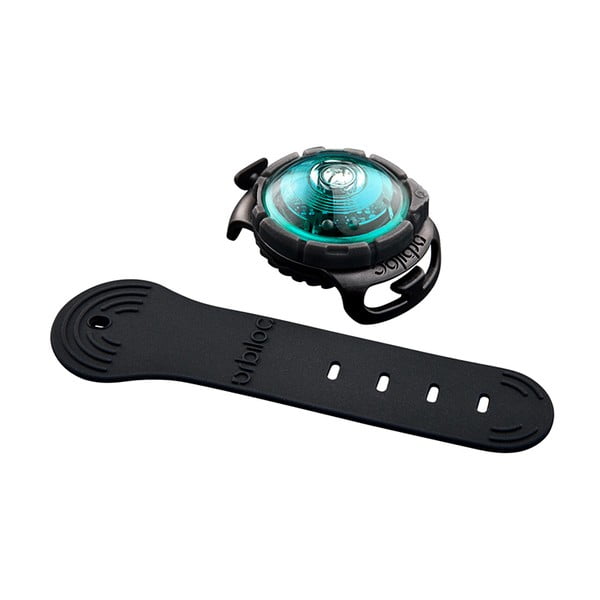 Lanternă LED pentru zgardă Turquoise – Orbiloc-image-1