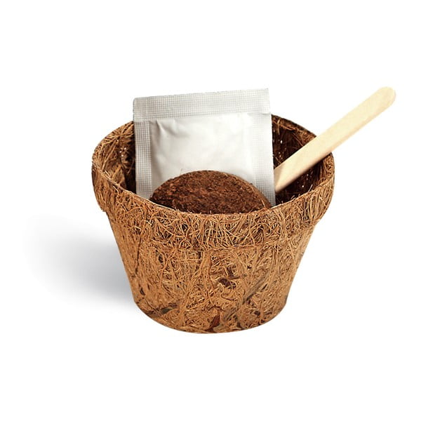 Set grădinărit cu semințe de cafea Gift Republic Coffee Lover-image-1