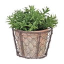 Ghiveci din teracotă ø 12,5 cm – Esschert Design