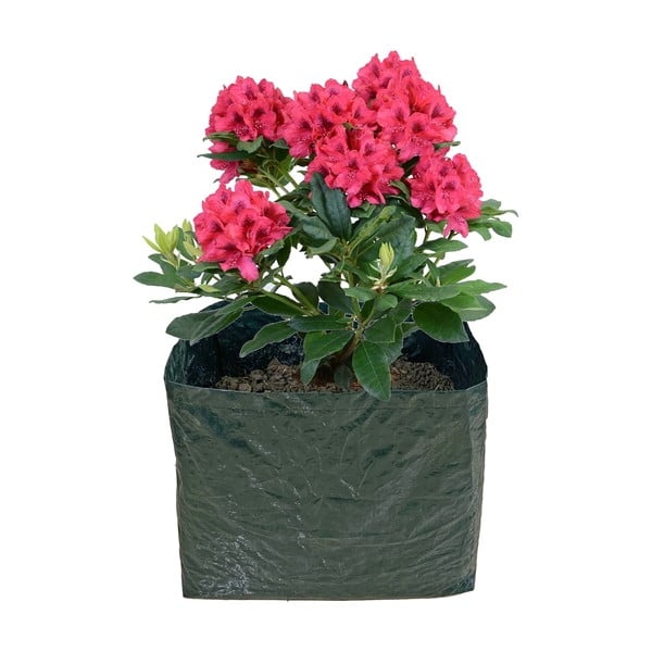 Pat ridicat de plante – Garden Pleasure