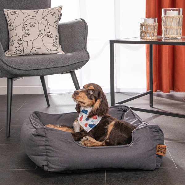 Pat pentru animale de companie albastru pentru câini 50x55 cm – Love Story-image-1