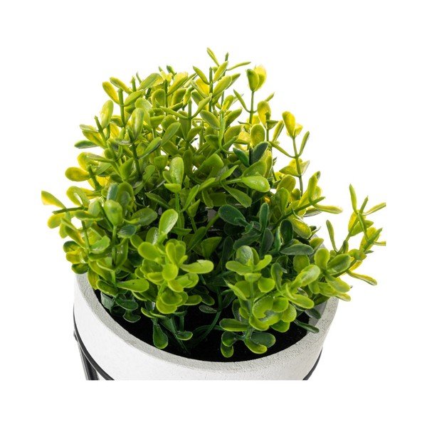 Plante artificiale 4 buc. – Casa Selección-image-3