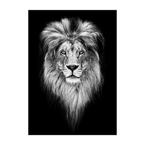 Poster Imagioo King Of Jungle, 40 x 30 cm
