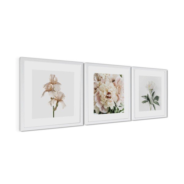 Tablouri cu ramă 3 buc. imprimate 30x30 cm Posy – Styler-image-4