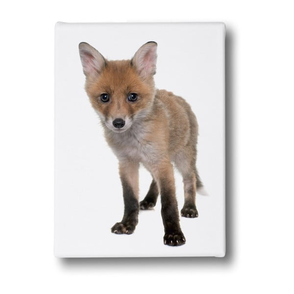 Tablou Mr. Little Fox Little Fox