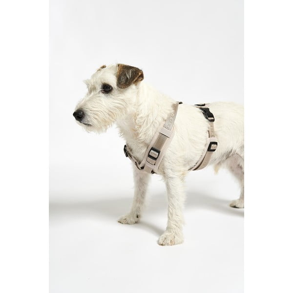 Ham bej S lungime 30 cm Modena Greige S – MiaCara-image-4