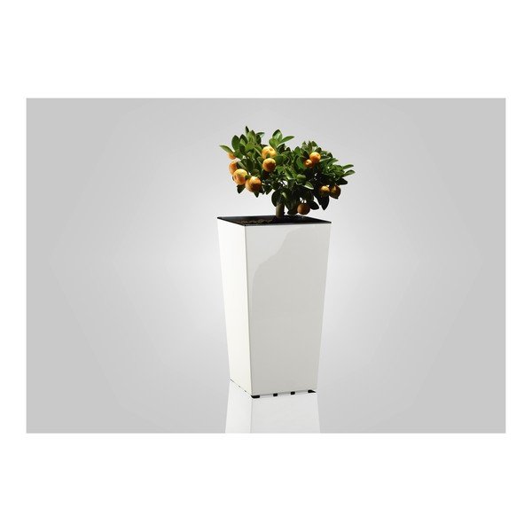 Ghiveci din plastic Elise – Gardenico-image-1