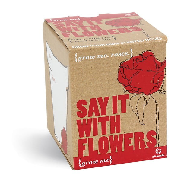 Set grădinărit Gift Republic Say It With Flowers cu semințe de trandafiri