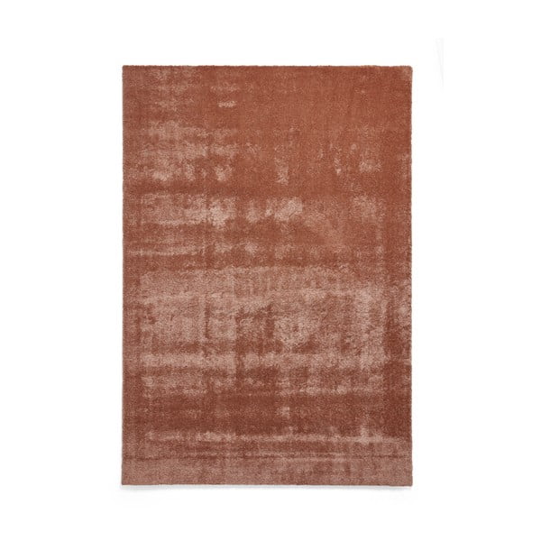 Covor cărămiziu lavabil 120x170 cm Cove – Think Rugs