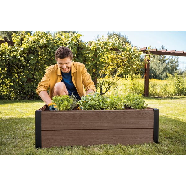 Pat ridicat de plante Maple – Keter-image-1