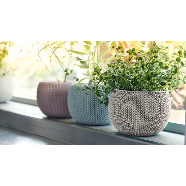 Ghivece 3 buc. din plastic ø 15 cm Cozy – Keter-image-1