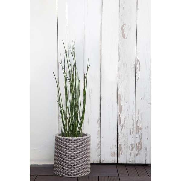 Ghiveci din plastic ø 28 cm Cylinder – Keter-image-1