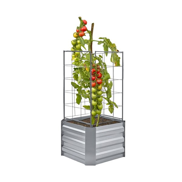 Pat ridicat de plante Dahlia – Garden Pleasure-image-2