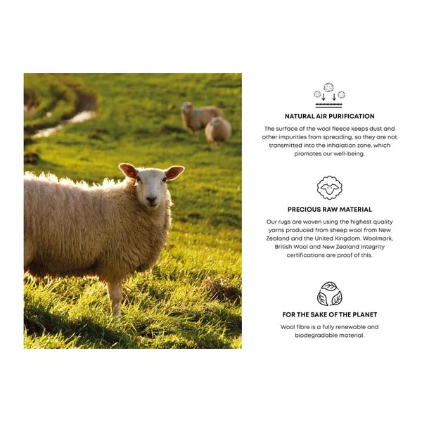 Covor gri deschis din lână 240x340 cm Talwin – Agnella-image-4