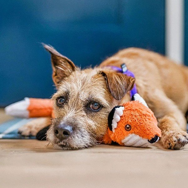 Jucărie pentru câine Vulpe – P.L.A.Y.-image-1