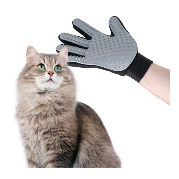 Mănușă pentru masaj și pieptănare a pisicii InnovaGoods-image-2