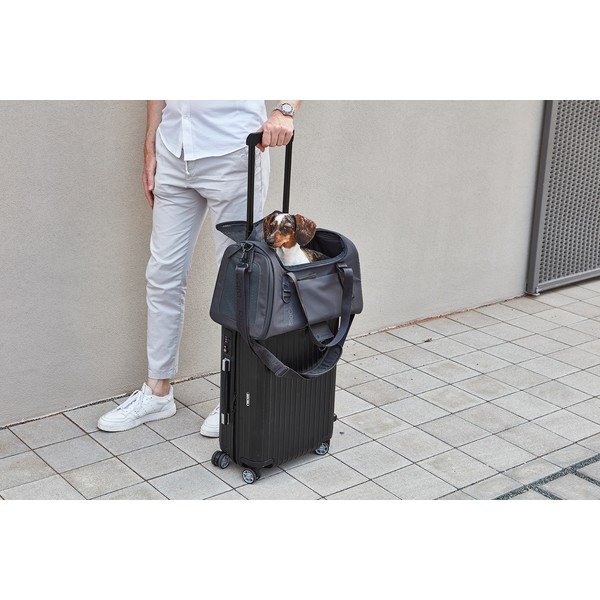 Geantă de transport pentru câini 28x55 cm Volata Asphalt S/M – MiaCara-image-2