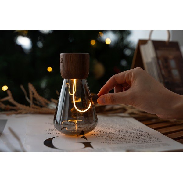 Decorațiune luminoasă portabilă cu USB ø 7 cm Opal – Gingko-image-1