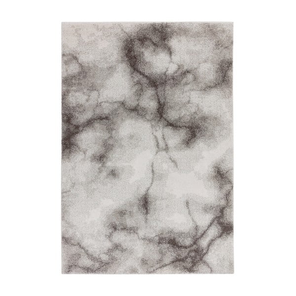 Covor gri 160x230 cm Dream – Asiatic Carpets