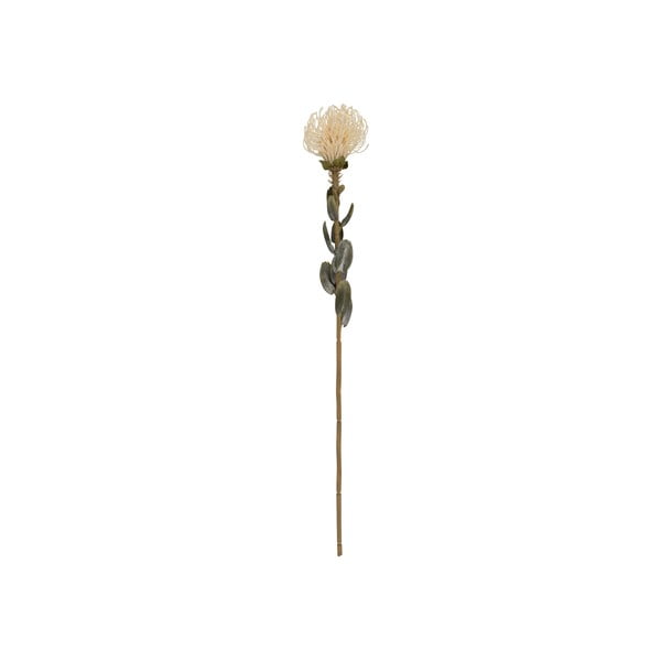 Plantă artificială (înălțime 73 cm) Protea – PT LIVING
