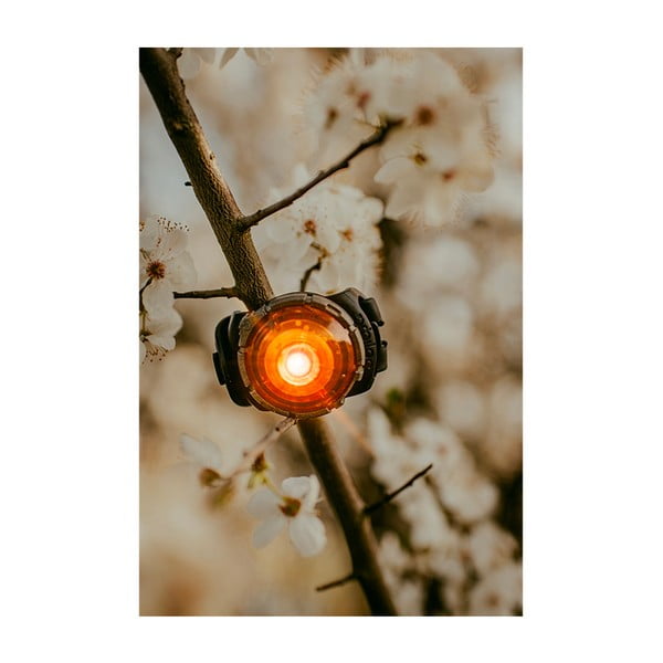 Lanternă LED pentru zgardă Amber – Orbiloc-image-3