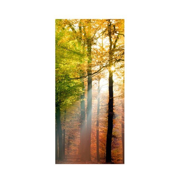 Tapet, format mare, Forest Lights-image-2