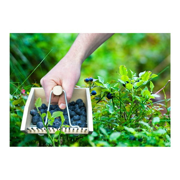 Pieptene din lemn de fag pentru cules afine Esschert Design Pond-image-2