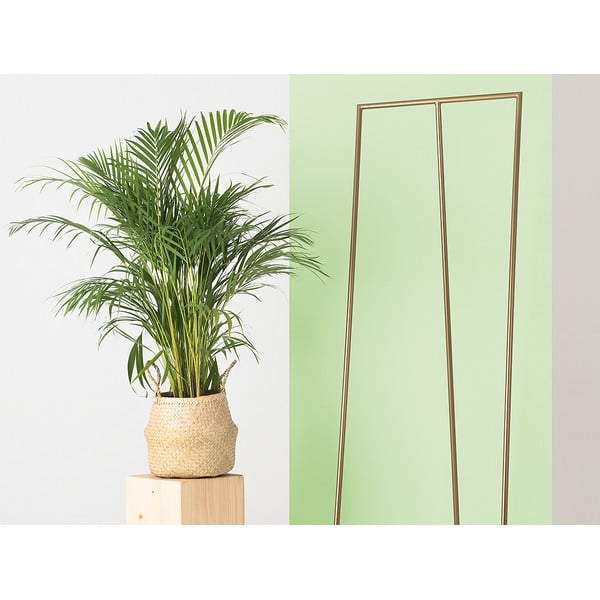 Cuier metalic de culoare aurie Zet - CustomForm-image-2