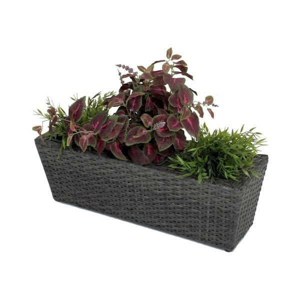 Jardinieră 60 cm Mentha – Garden Pleasure-image-1