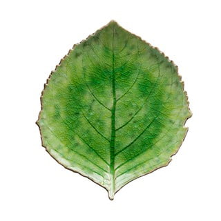 Farfurie din gresie ceramică Costa Nova Riviera, 19 x 22 cm, verde