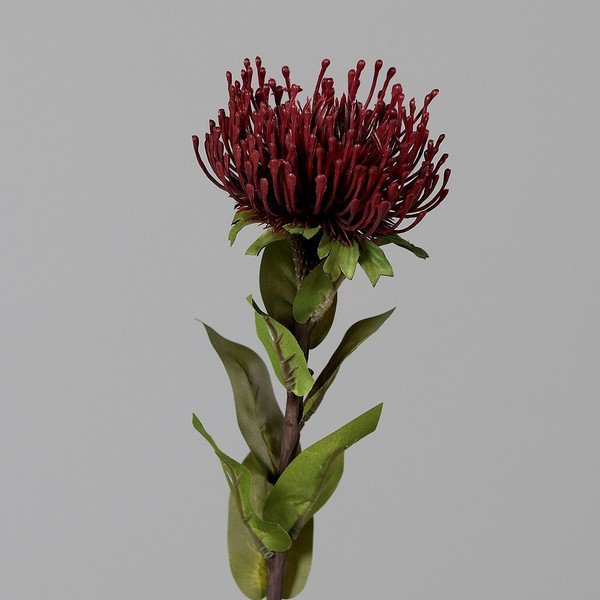 Plantă artificială (înălțime 74 cm) Protea – Ego Dekor